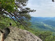 Birding the Appalachian Trail