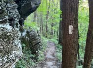 ATC Recommends Bear-Resistant Food Storage Along Entire Appalachian Trail