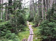 4 Ridgerunners Share Their Top Advice for AT Thru-Hikers