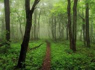 8 Appalachian Trail Thru-Hikers Share Their Top Advice