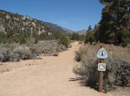 Kennedy Meadows Among 4,000 Campsites That Might Close This Summer as Budget Cuts, Layoffs Threaten California National Forests