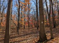 Announcing the 2025 Pennsylvania Appalachian Trail Kickoff