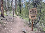 Alert: Fast-Growing Fire Closes Section of Continental Divide Trail and Colorado Trail Near Mt. Massive