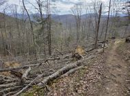 Appalachian Trail Section Devastated by Hurricane Helene Reopens After Nearly 2 Years