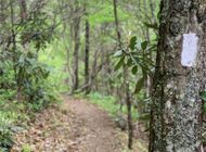 The 2026 Appalachian Trail Thru-Hiker Survey Is Here!