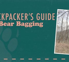 The Backpacker's Guide to Bear Bagging