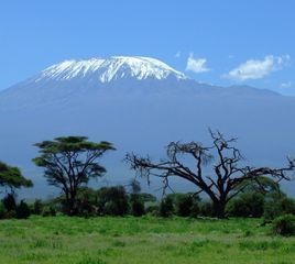 Reaching the Roof of Africa: How to Hike Mount Kilimanjaro