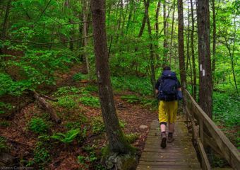 New York: Must-See Day Hikes on the Appalachian Trail - The Trek