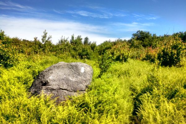 Hiking the Monadnock Sunapee Greenway: A Tiny Appalachian Trail