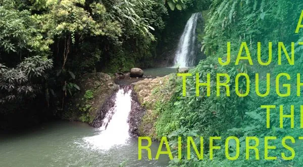A Jaunt Through the Rainforest: Exploring Grenada’s Grand Etang National Park
