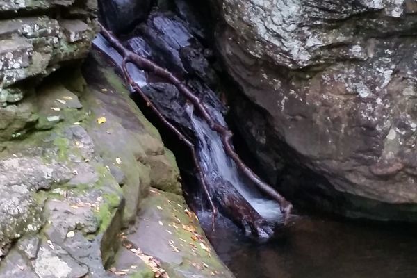 Raven Cliff Falls Trail