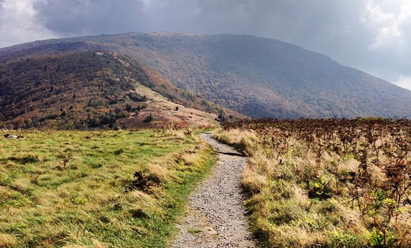 The Top Instagram Photos from the #AppalachianTrail This Week