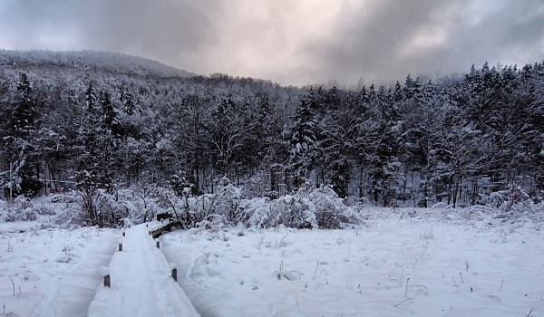 The Top Instagram Photos from the #AppalachianTrail This Week