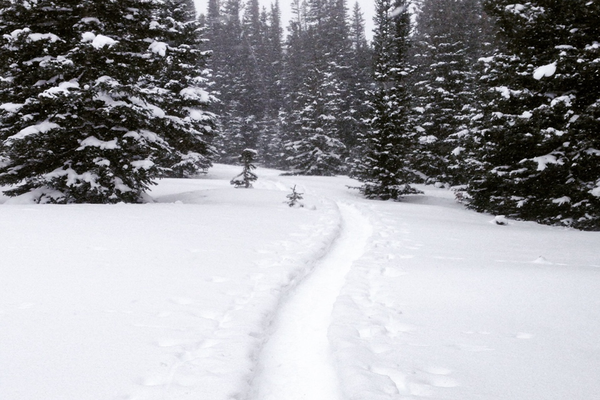 Snowshoeing at Brainard Lake, Colorado