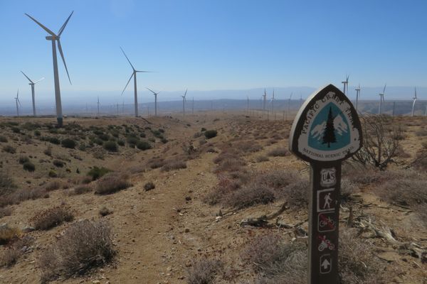 How To Get The Best Trail Name Ever