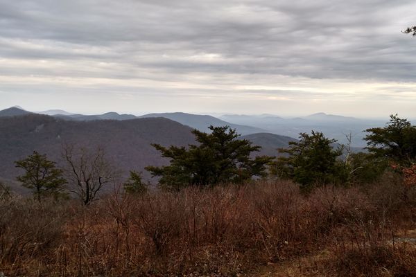 From the Suburbs of Illinois to the Mountains of Georgia