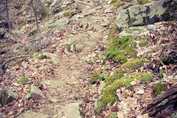 Hiking with a Partner: Obstacle or Trial, It Doesn’t Really Matter When It All Boils Down To Me