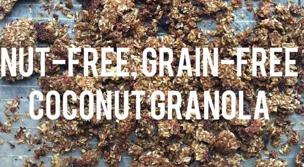 Nut-free, Grain-free Dehydrated Coconut Granola Recipe