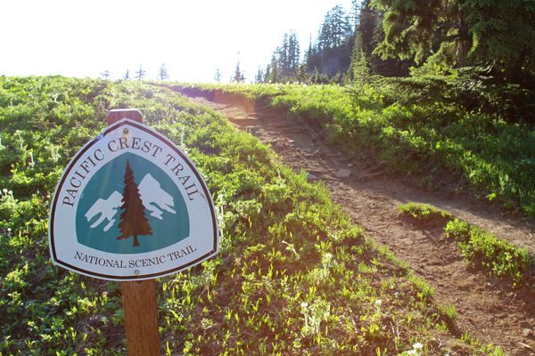 PCT Days Canceled for 2020