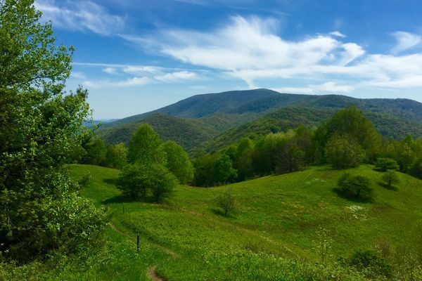 a (not so) great day for a hike