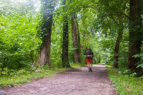 Super Fun Workouts To Get You In Tip Top Hiking Shape!