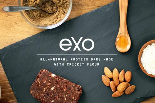 Trail Food: Exo Protein Cricket Flour Bars