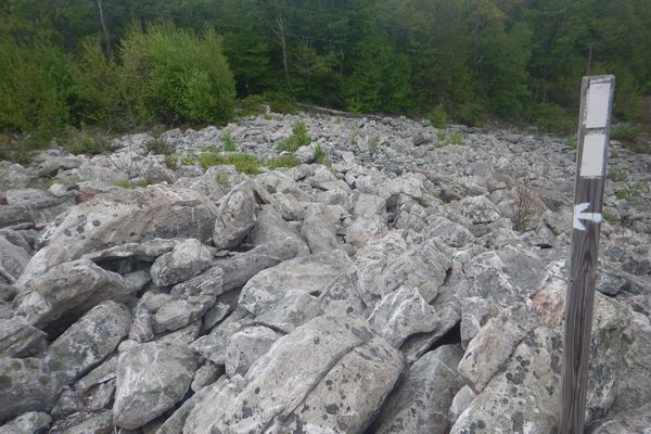 Pennsylvania Rocks