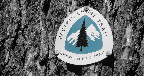 Amended “Why I’m Hiking PCT” A.K.A. Why I Am Already Free, TYVM