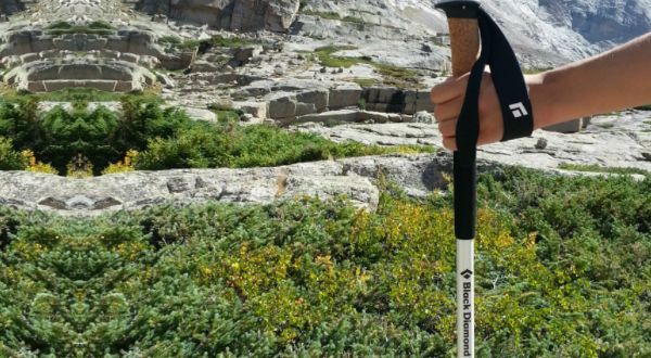 Gear Review: Black Diamond’s Alpine Carbon Cork Trekking Poles
