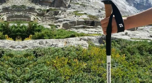 Gear Review: Black Diamonds Alpine Carbon Cork Trekking Poles
