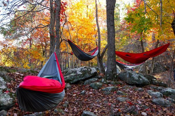 From the Ground to the Trees: Transitioning From a Tent to a Hammock