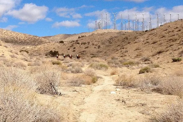 3 Tips for Hiking Through the PCT Desert