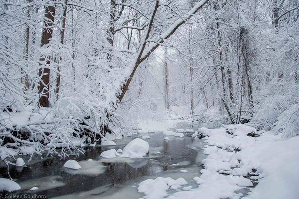 Why You Should Still Be Hiking In The Dead of Winter