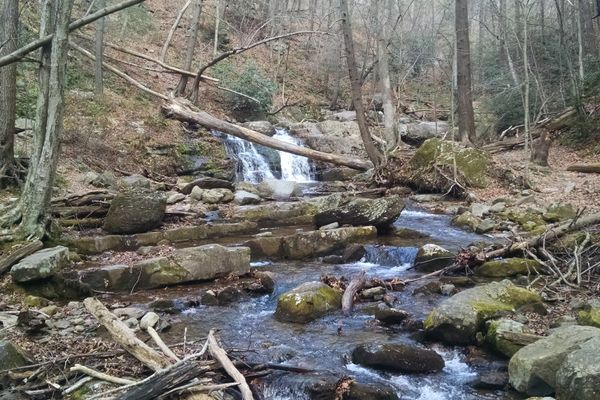 Exploring a Blue Blaze: Dunnfield Creek Trail, NJ