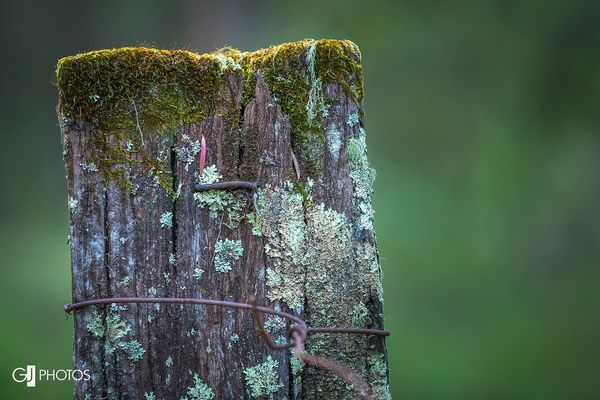 My bum isn’t sold on the moss idea…