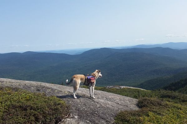 The Mahoosuc or the “Mahoo-suck” Notch