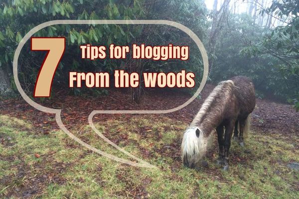 7 Tips for Blogging Your Thru-Hike