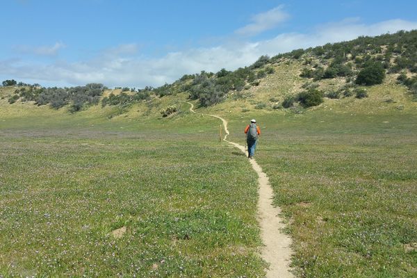 PCT Section A: 109 Miles of Ups and, Well, Ups