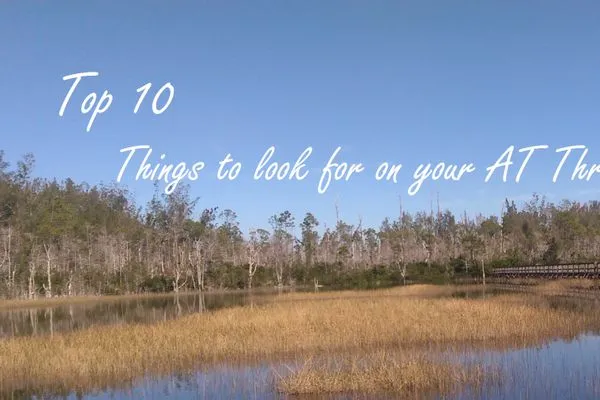 Top 10 Things to Look Forward to on the AT!