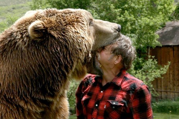 Bears: Fear vs Respect