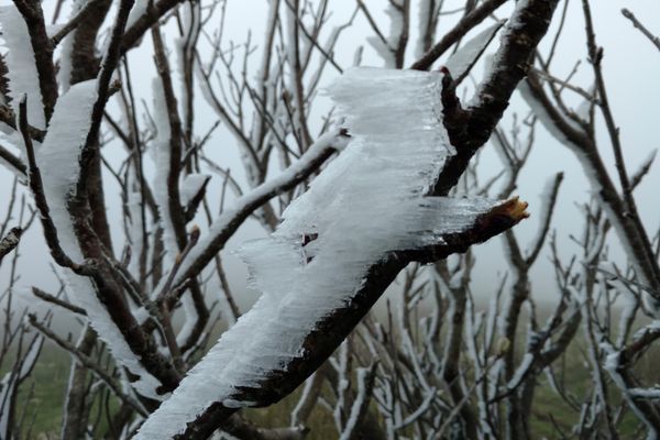 The Blizzard of ’16 and Hostel With No Name