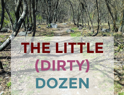 The Little (Dirty) Dozen