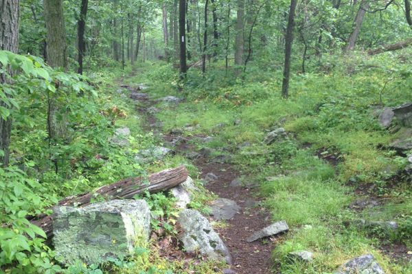 Seven Lessons I’ve Learned as I Prepare for an Appalachian Trail Thru-hike