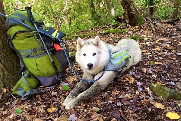 How I Got My Trail Name