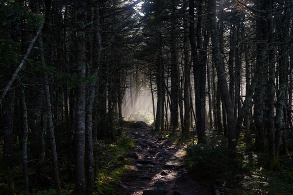 How You Can Help Protect the Appalachian Trail