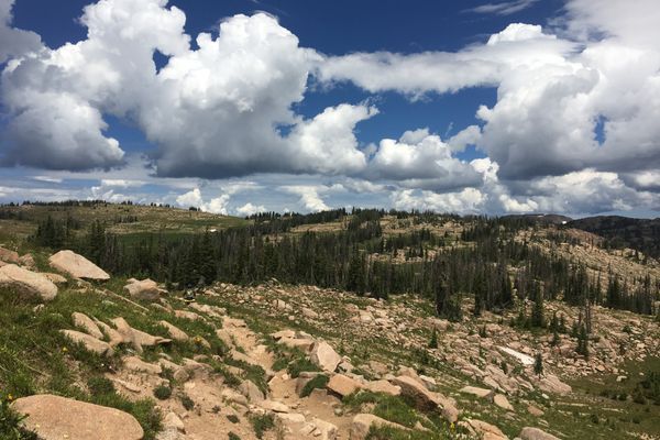 A Retrospective Update From the CDT: Oh Colorado!