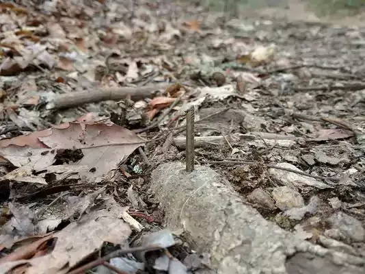 Runner’s Foot Impaled by Intentionally Placed Nail on North Carolina Trail