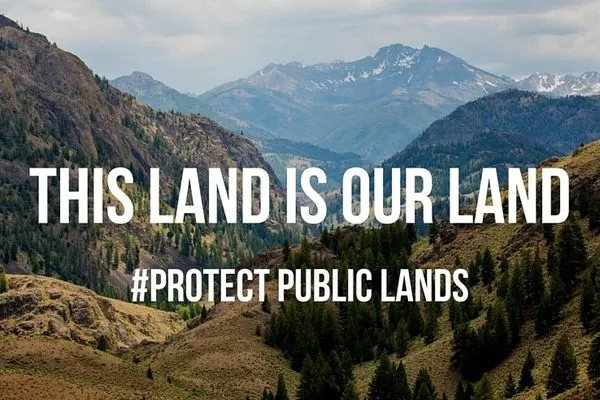 This Land is Your Land… And Yours, And Yours, And Yours