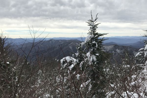 Trail Update #4: the week I re-evaluated  my relationship with the Smokies