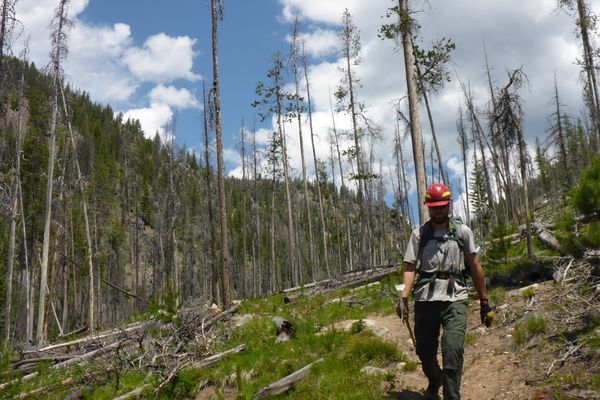Life of the Trail Crew: A summer in the Idaho Wilderness